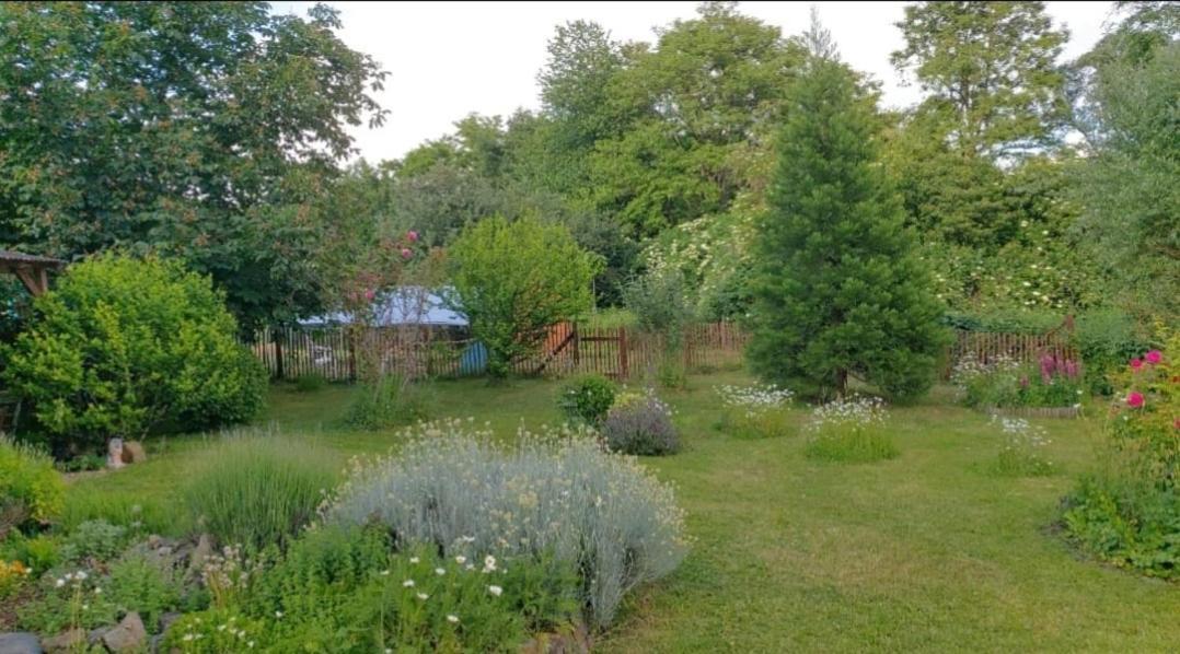 Orangerie Zimmer Gehaichnishof 7Born Maring-Noviand Exterior photo