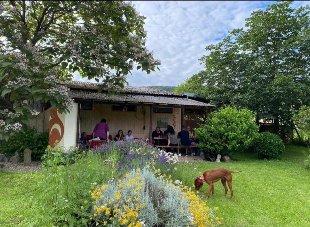 Orangerie Zimmer Gehaichnishof 7Born Maring-Noviand Exterior photo